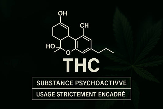 Qu’est-ce que le THC ? Origine, effets et légalité en France