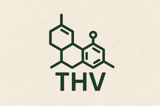THV (THCV) : tout savoir sur ce cannabinoïde émergent