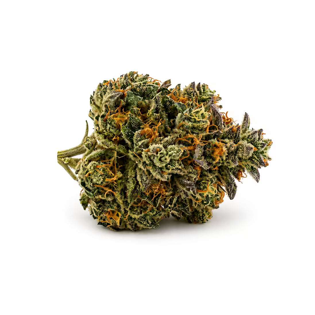 Girl Scout