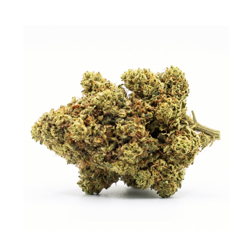 Gorilla Glue