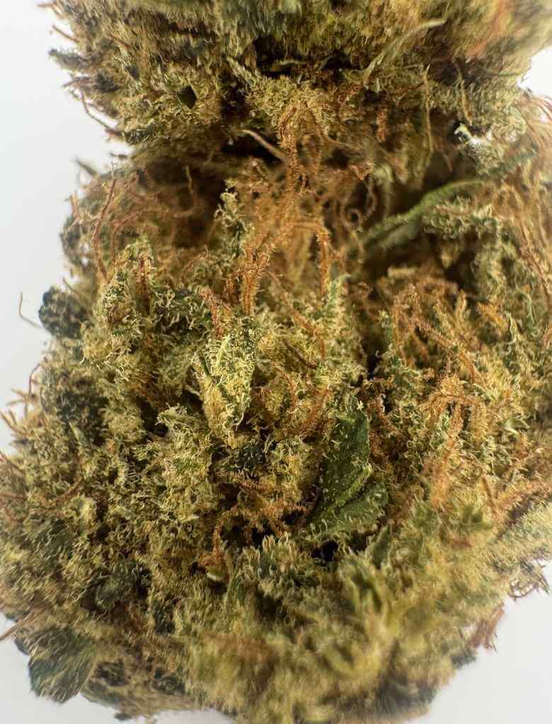 Lemon Ice