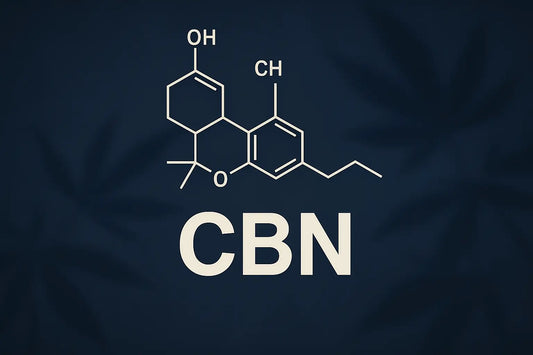 Le CBN : définition de ce cannabinoïde légal issu du THC
