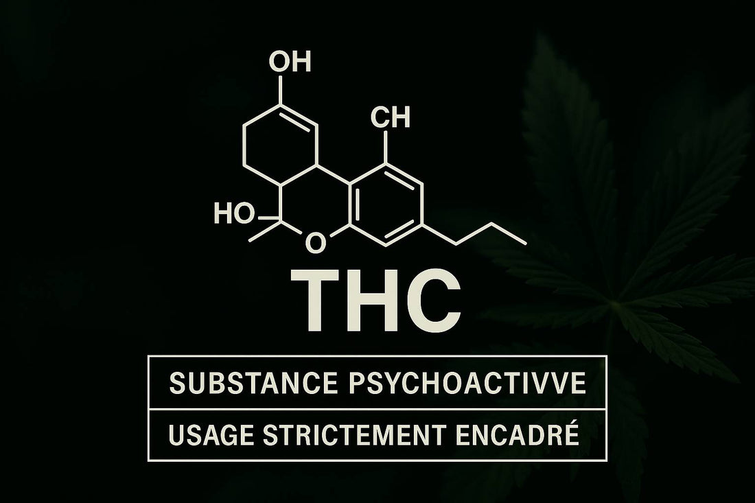 Qu’est-ce que le THC ? Origine, effets et légalité en France