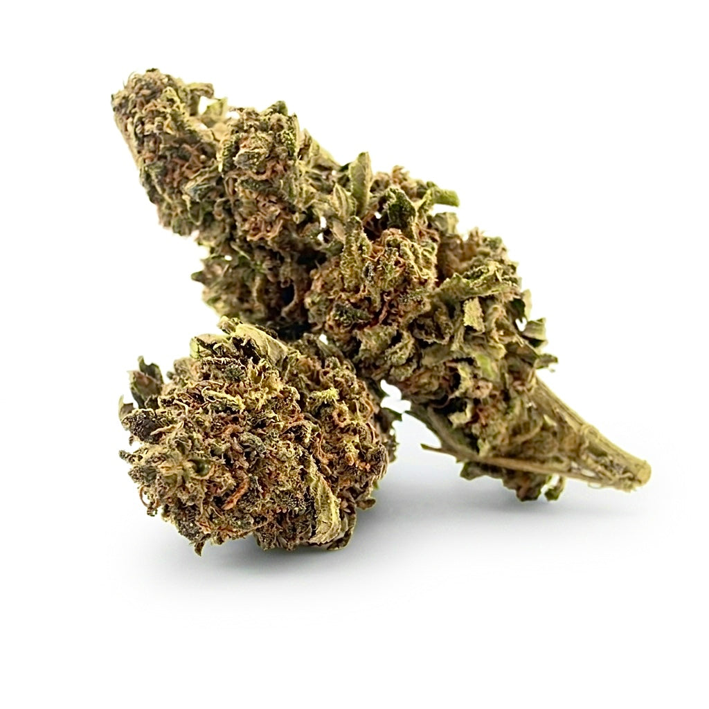 Jack Herer