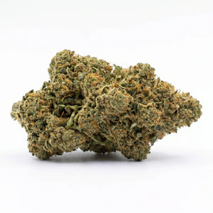 hindu kush fleur 10 oh hhc