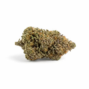 Gelato