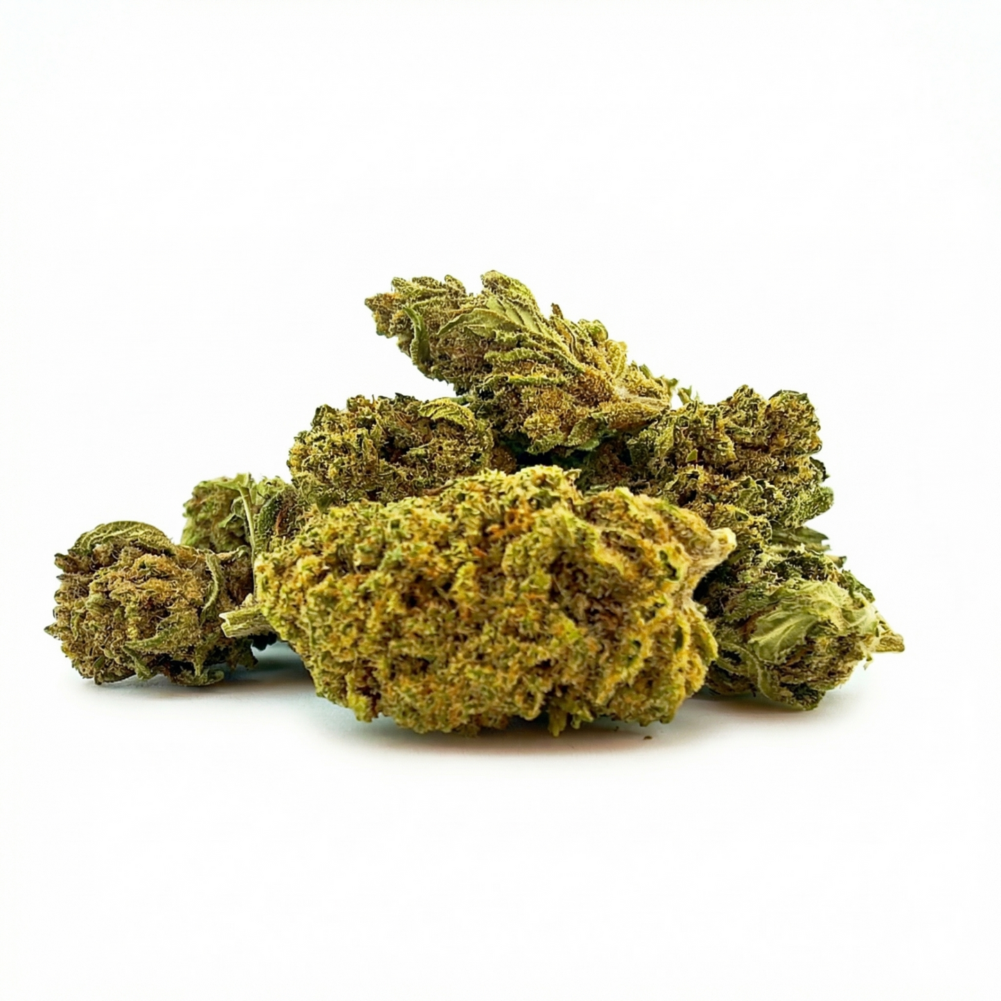 Gorilla Small buds