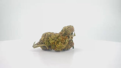 Lemon Ice